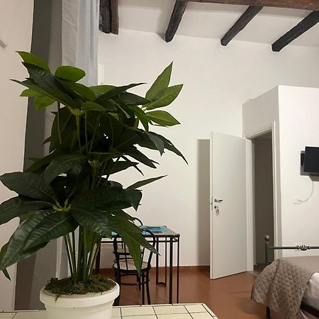 Il Portale 2 Apartment Tropea Ngoại thất bức ảnh